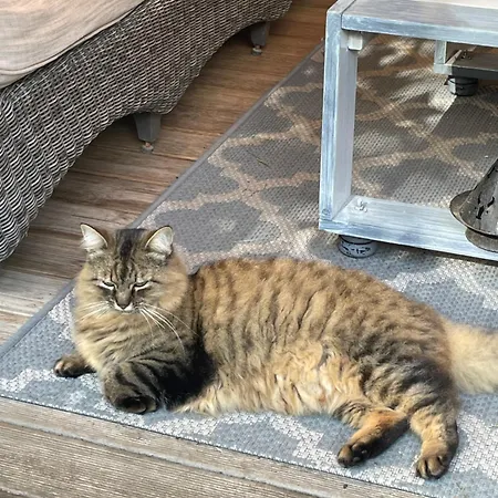 La Du Voyageur Nocleg ze śniadaniem Soustons