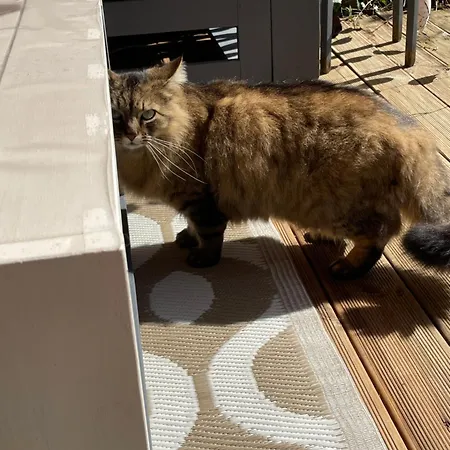 La Du Voyageur 4* Soustons