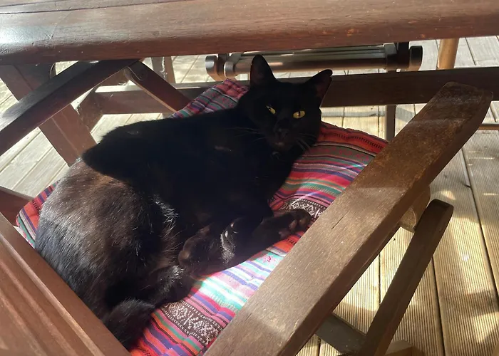 La Du Voyageur 4* Soustons