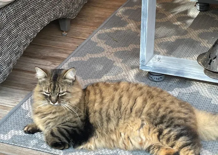 La Du Voyageur Bed & Breakfast Soustons