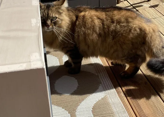 La Du Voyageur 4* Soustons